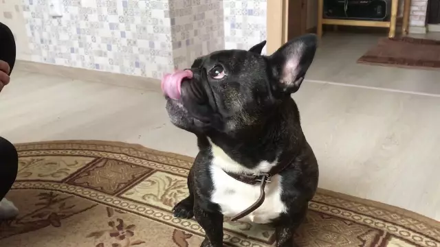 Французский велоспорт реагирует: «Армстронг потеряет титулы Тур