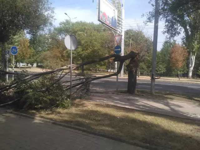 Приспешники Италии размышляют о нанесенном ущербе