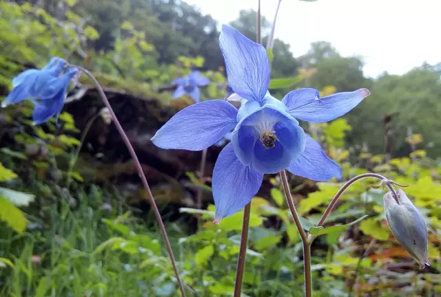 La Primavera: пять фирменных фаворитов