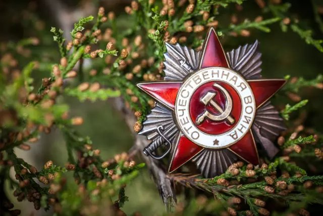Родригес: Мировое поражение навсегда останется со мной