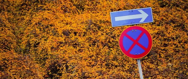 Запрет на два года для Пьеполи