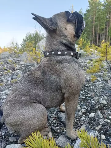 Знакомо странно