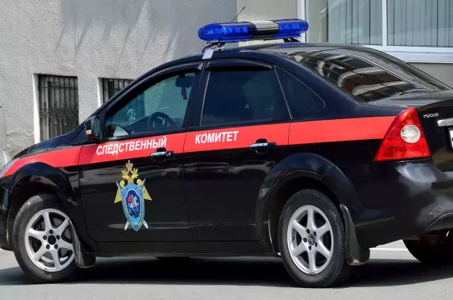 Этот массажист охотится на велосипеде с его пуделью. В самом деле