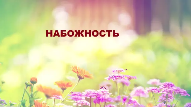 11 красивых вещей, чтобы узнать о животных, браконьерах, убивают