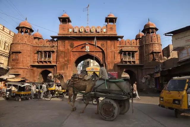 10 лучших ресторанов в udaipur, раджастхан