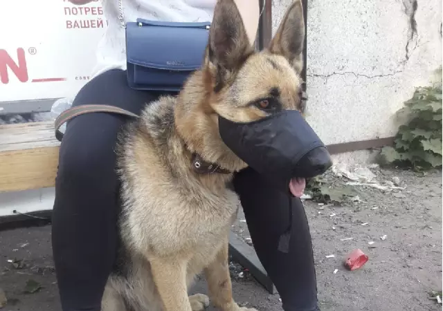 10 болливудских звезд, которые изо всех сил пытались сделать его большим в Индии