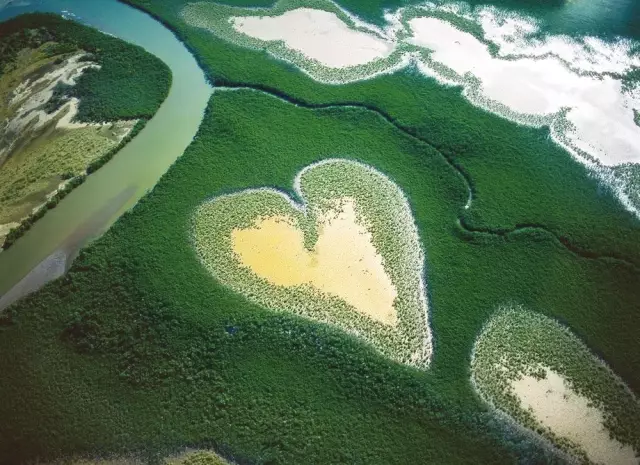 10 открывающих глаза китайских документальных фильмов