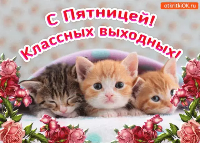 10 отличных выходных из Агры, Индии