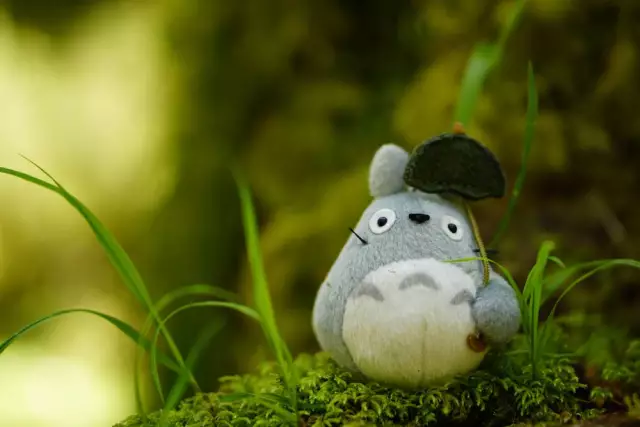 10 студийных фильмов ghibli, чтобы вы удивились