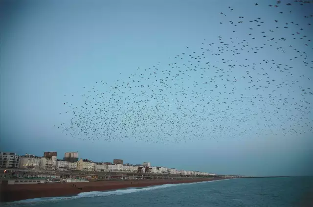 10 вещей, которые вы должны знать о rinko kawauchi