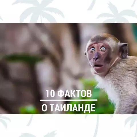10 традиций могут понять только местные жители в Таиланде