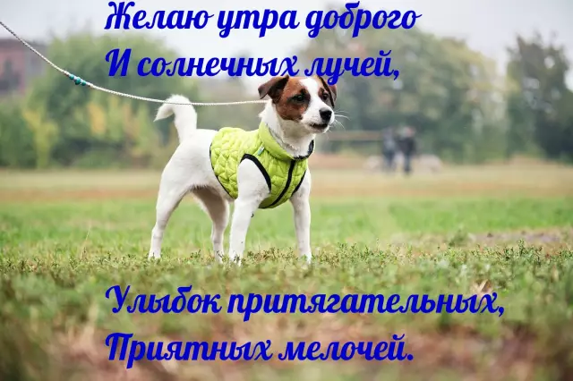 13 очень жарких и солнечных мест, чтобы сбежать до этой зимы