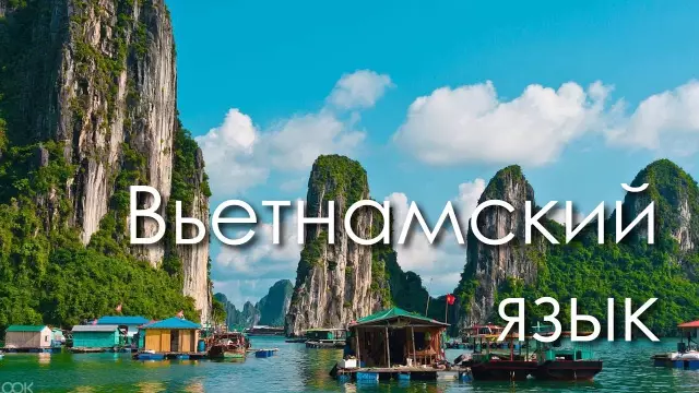 18 слов, чтобы вы полюбили вьетнамский язык