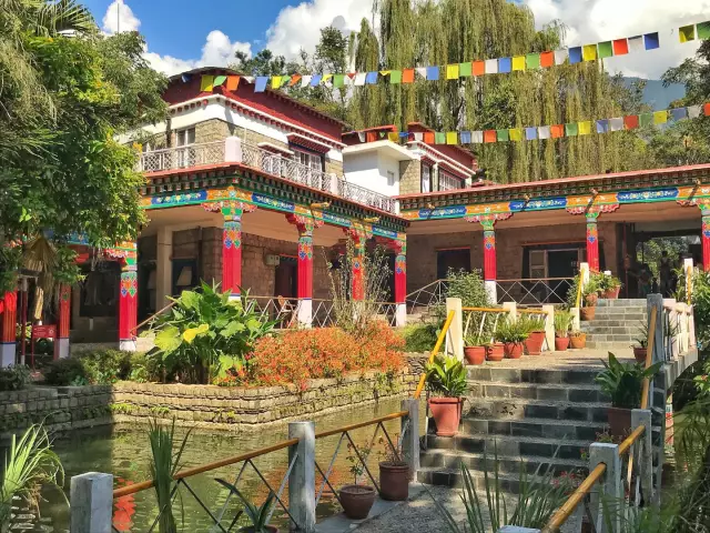 10 лучших ресторанов dharamsala и местных ест