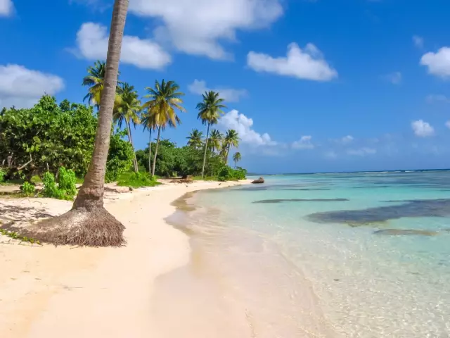 10 лучших ресторанов в pointe à pitre, guadeloupe