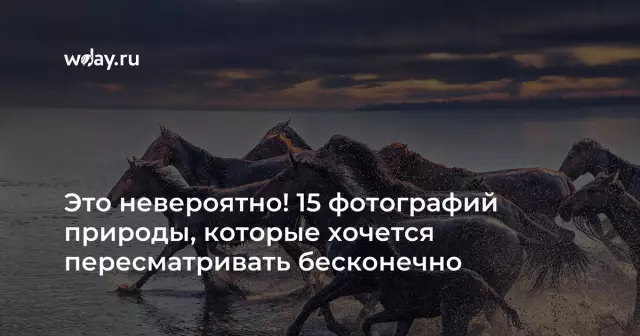 15 потрясающих чудес природы в центральной америке, которые захватывают дух