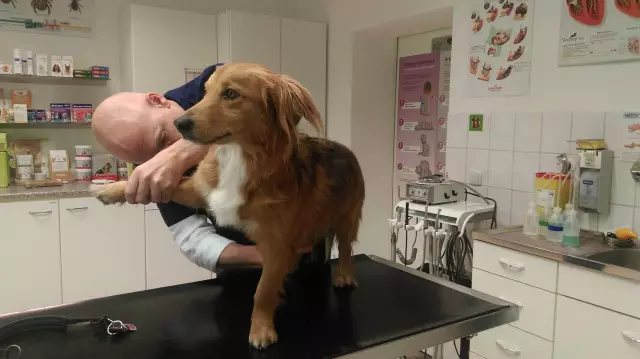 15 вещей, которые поймут только puerto ricans