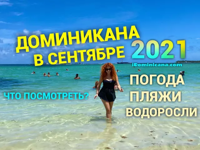 10 лучших вещей, которые можно увидеть и сделать в Пунта-Кана
