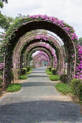 10 самых красивых улиц в Лондоне