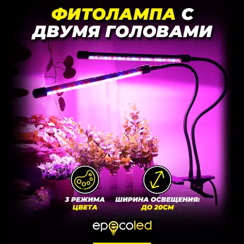 10 австрийских стартапов для просмотра