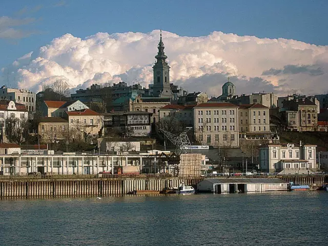 10 собак в Белград, Сербия