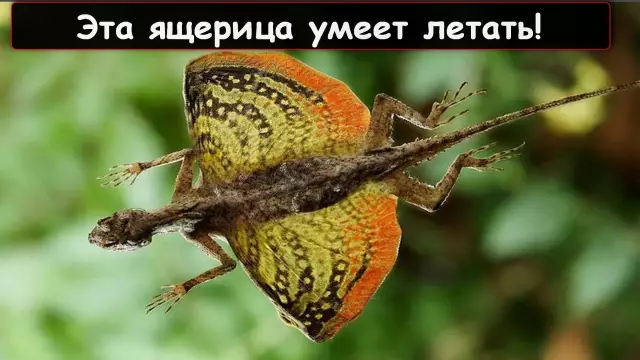 10 самых удивительных призов лауреатов