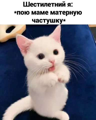 10 фотографий политиков, выглядящих глупо, пытаясь съесть пищу