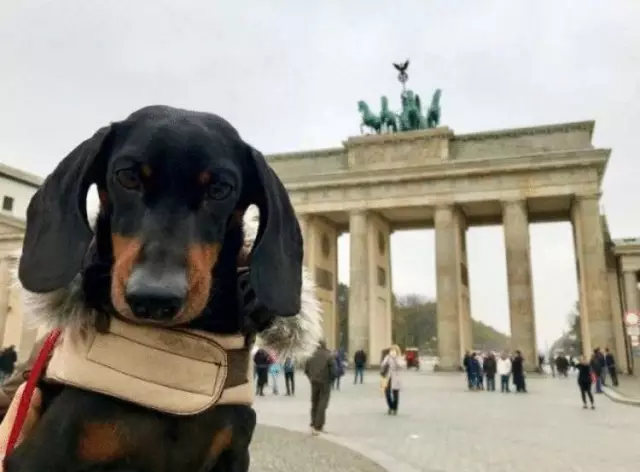 10 типов людей, с которыми вы столкнетесь в berghain