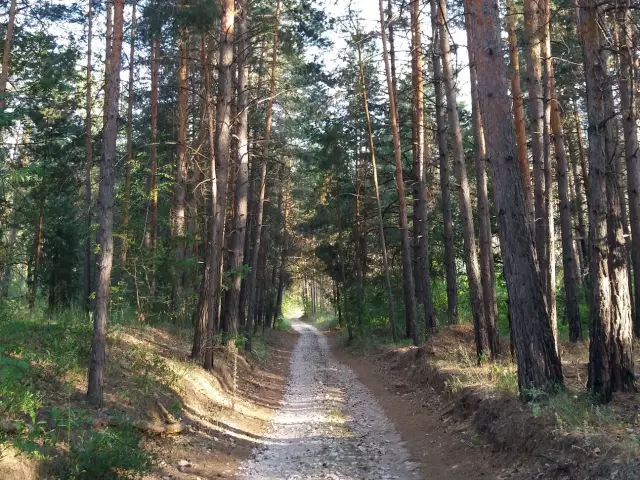 11 лучших коттеджей airbnb в черном лесу германии
