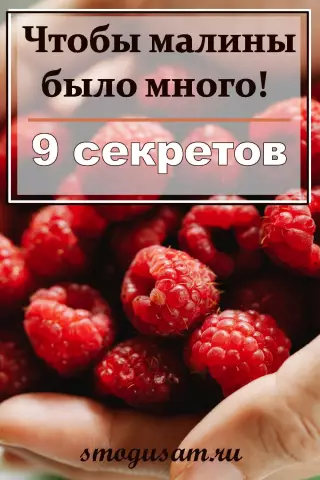 12 природных болгарских секретов красоты, чтобы превратить вашу кожу