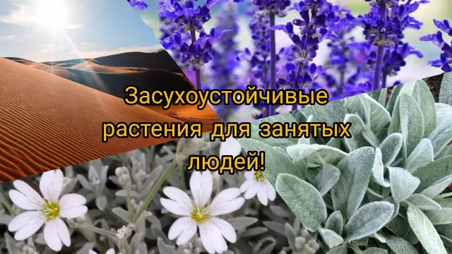 15 лучших солнечных мест для изгнания январского блюза
