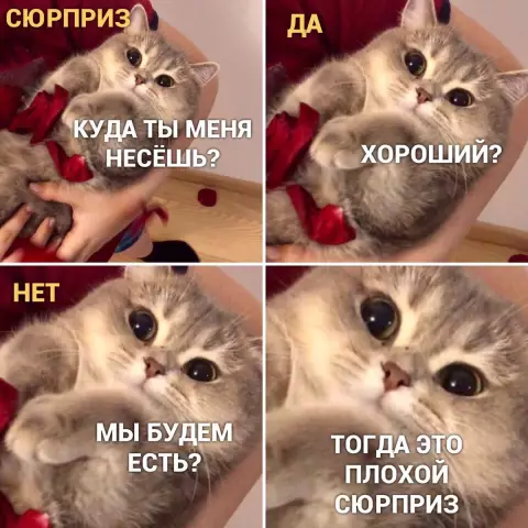 17 мемов гарантированно заставят вас смеяться над голубым понедельником