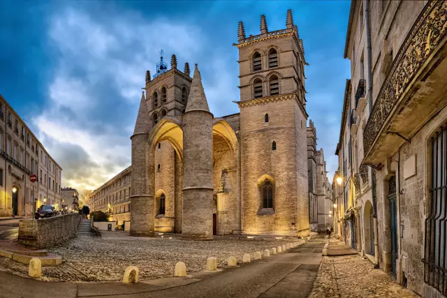Краткая история католического st-pierre montpellier