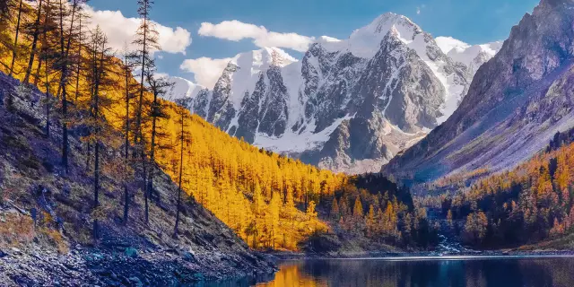 Самые необычные места для пикника в Берлине