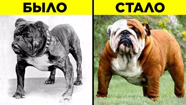 10 работ, которые захватывают последние 100 лет в Париже