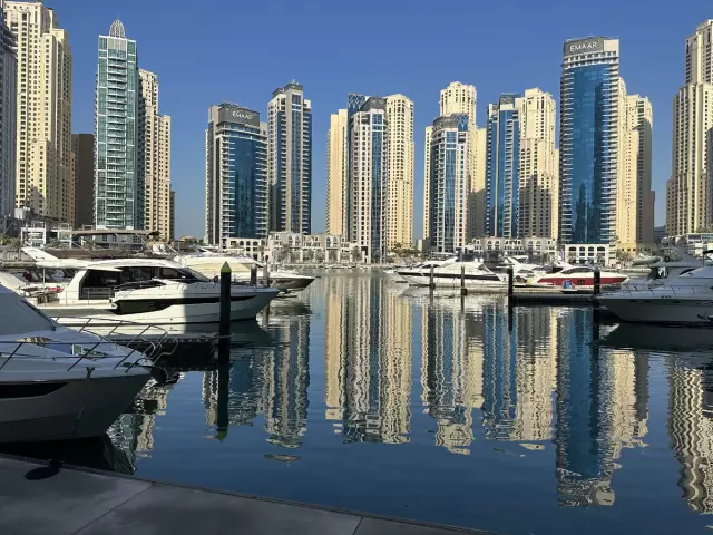 Этот закрытый лес в Дубае идеально подходит для тропического бегства