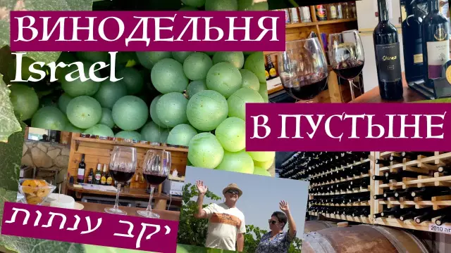 10 лучших дел в пустыне Негева, Израиль