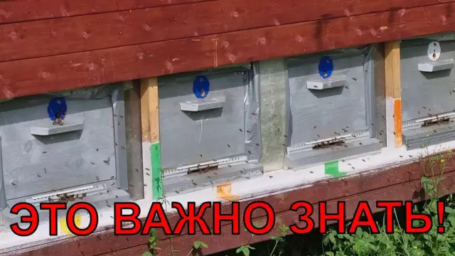 Верхние бары на модной улице Дизенгофф