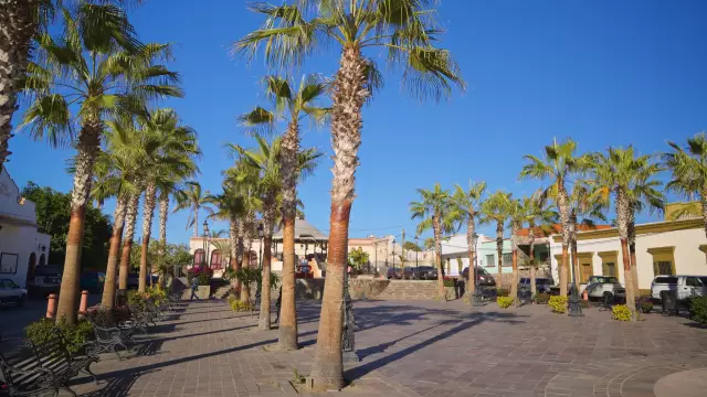 10 лучших пятен бранча в todos santos
