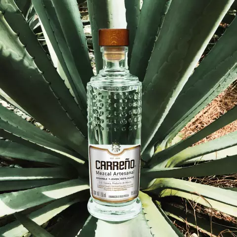 12 мексиканских марок mezcal, которые вам нужны в вашей жизни
