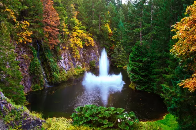 Самые красивые сады по всему миру