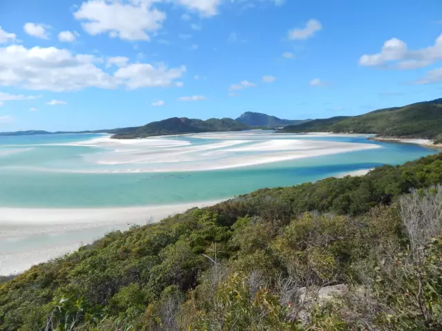 11 невероятных причин для посещения airlie beach, австралия