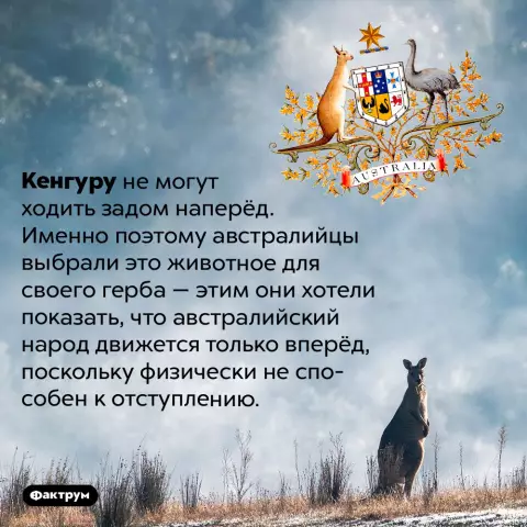 11 причин, почему мы любим австралийский народ