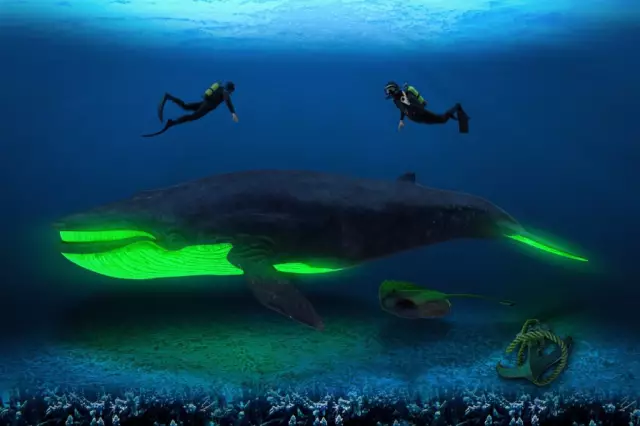 Эта карта показывает, в какой стране самые тяжелые пьющие в мире