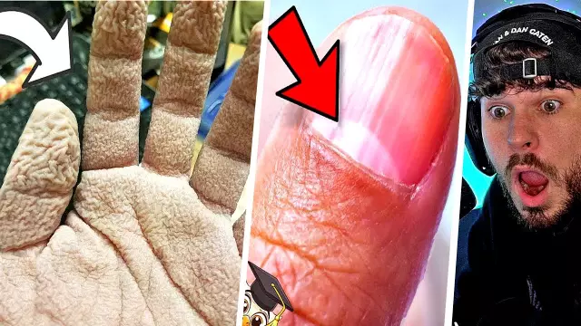 10 вещей, которые вы, вероятно, не знали о мачу-пикчу