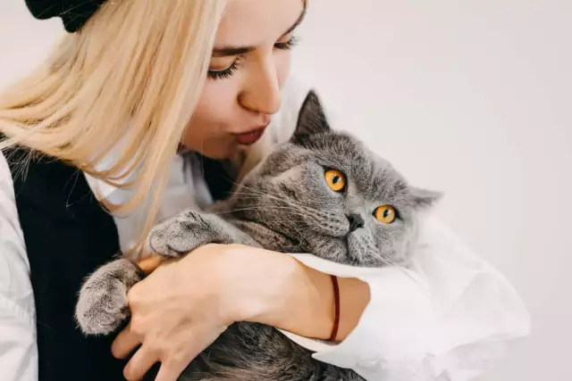 11 уроков жизни, которые вы можете узнать из бразильского
