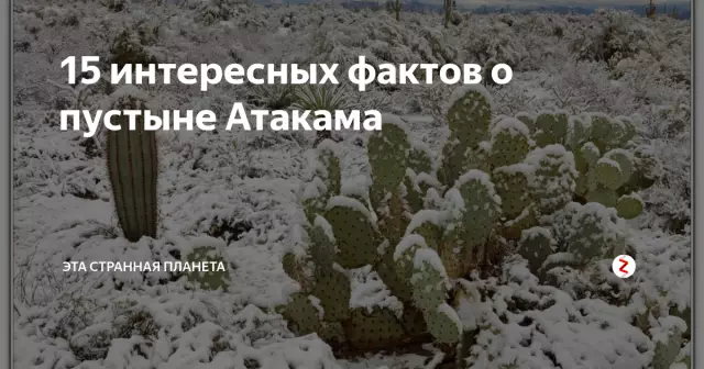 15 фотографий, которые доказывают, что чистая пустыня Атакама самая красивая ночью