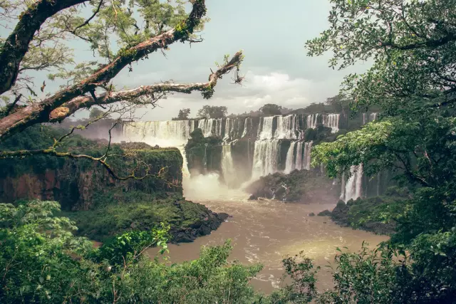 Экскурсия по mate-lover по misiones, argentina