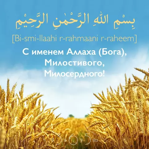 10 лучших вещей, которые можно увидеть и сделать в суре