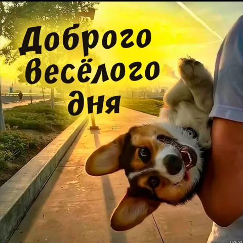 12 лучших мест для веселого семейного дня в Далласе